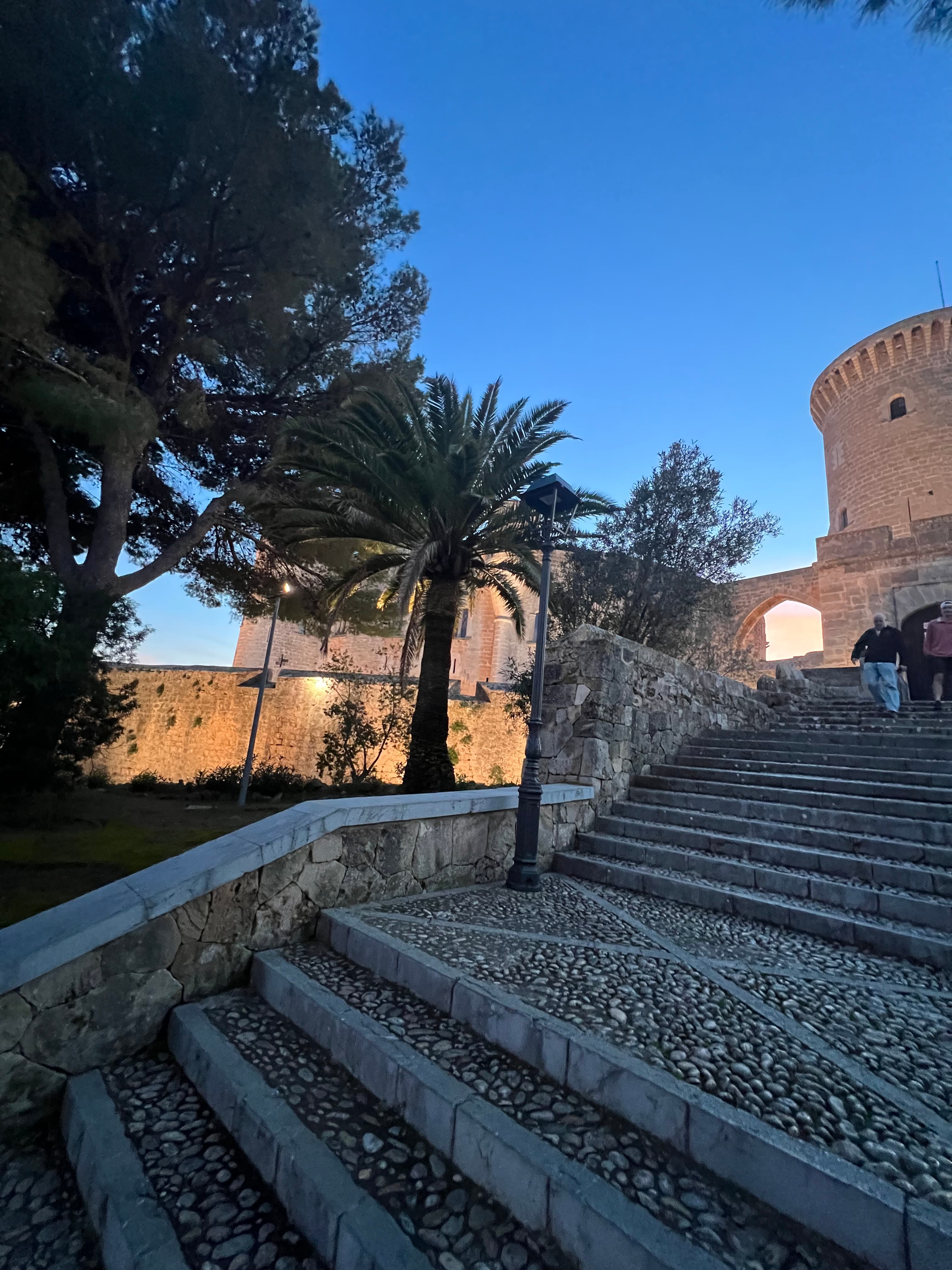 Trappor och grönska vid Bellverslottet i Palma