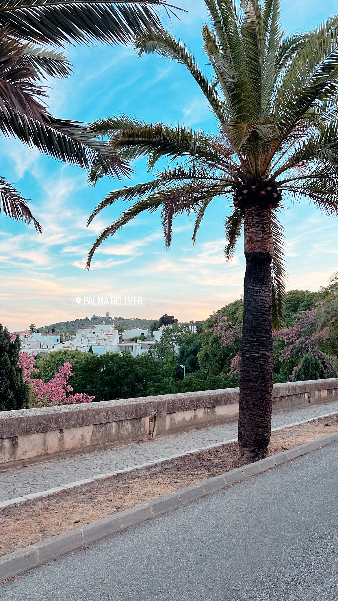 Palma Suite - Bellver Park